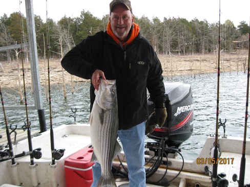Nice Striped Bass